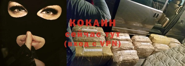 стафф Алзамай