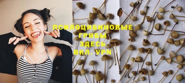 экстази Алексин
